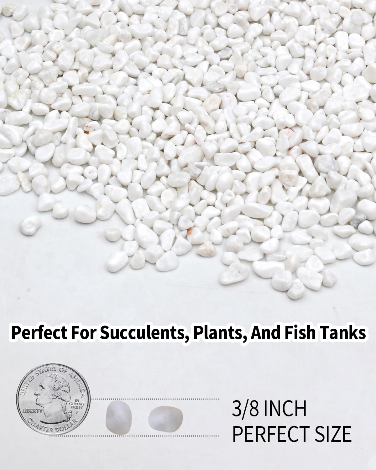 Top layer usage by Fahaxiki helps retain moisture and reduce soil splatter in potted plants.