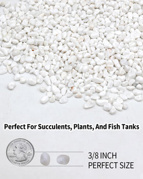 Top layer usage by Fahaxiki helps retain moisture and reduce soil splatter in potted plants.
