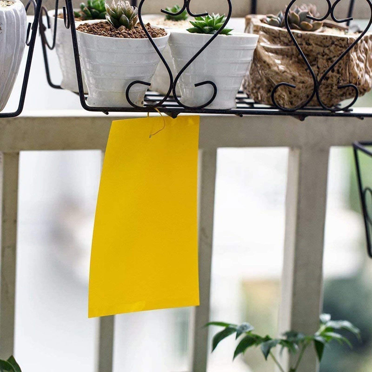 Faicuk 20-pack yellow traps with wire ties, complete monitoring kit