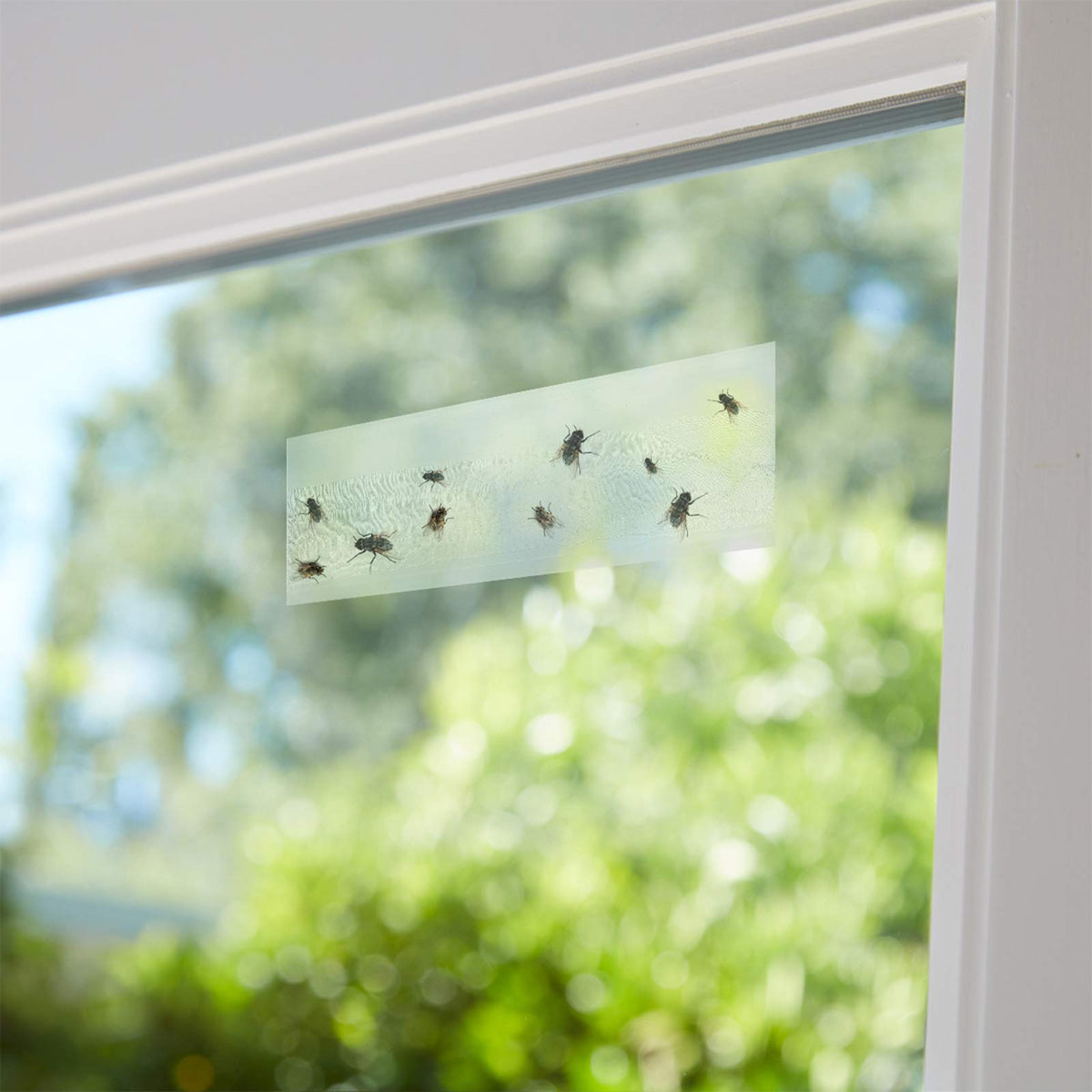 Faicuk easy peel release paper allows quick, mess-free installation on windows.