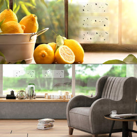 Faicuk invisible protection on a window pane provides discreet control without altering the view.