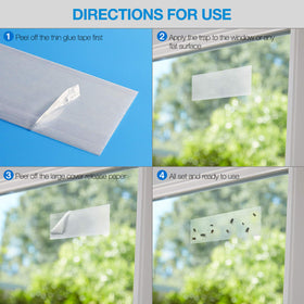Faicuk transparent fly trap on glass blends with decor while catching insects.