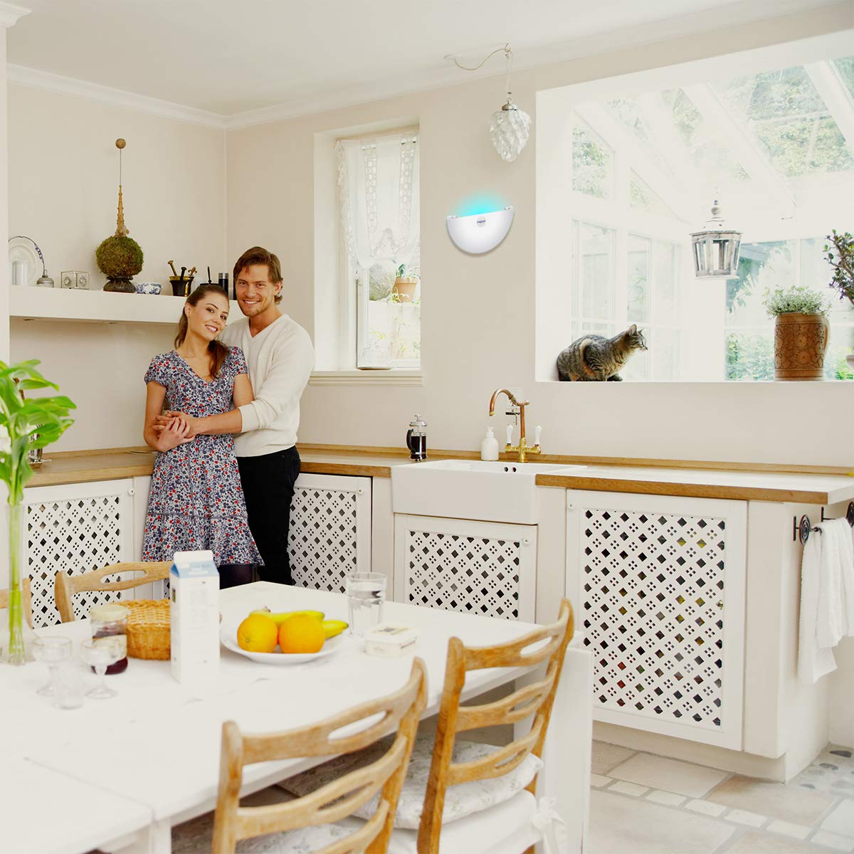 Faicuk fly light trap in kitchen, ideal for indoor settings