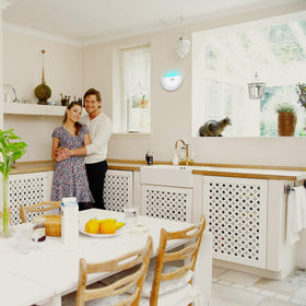 Faicuk fly light trap in kitchen, ideal for indoor settings