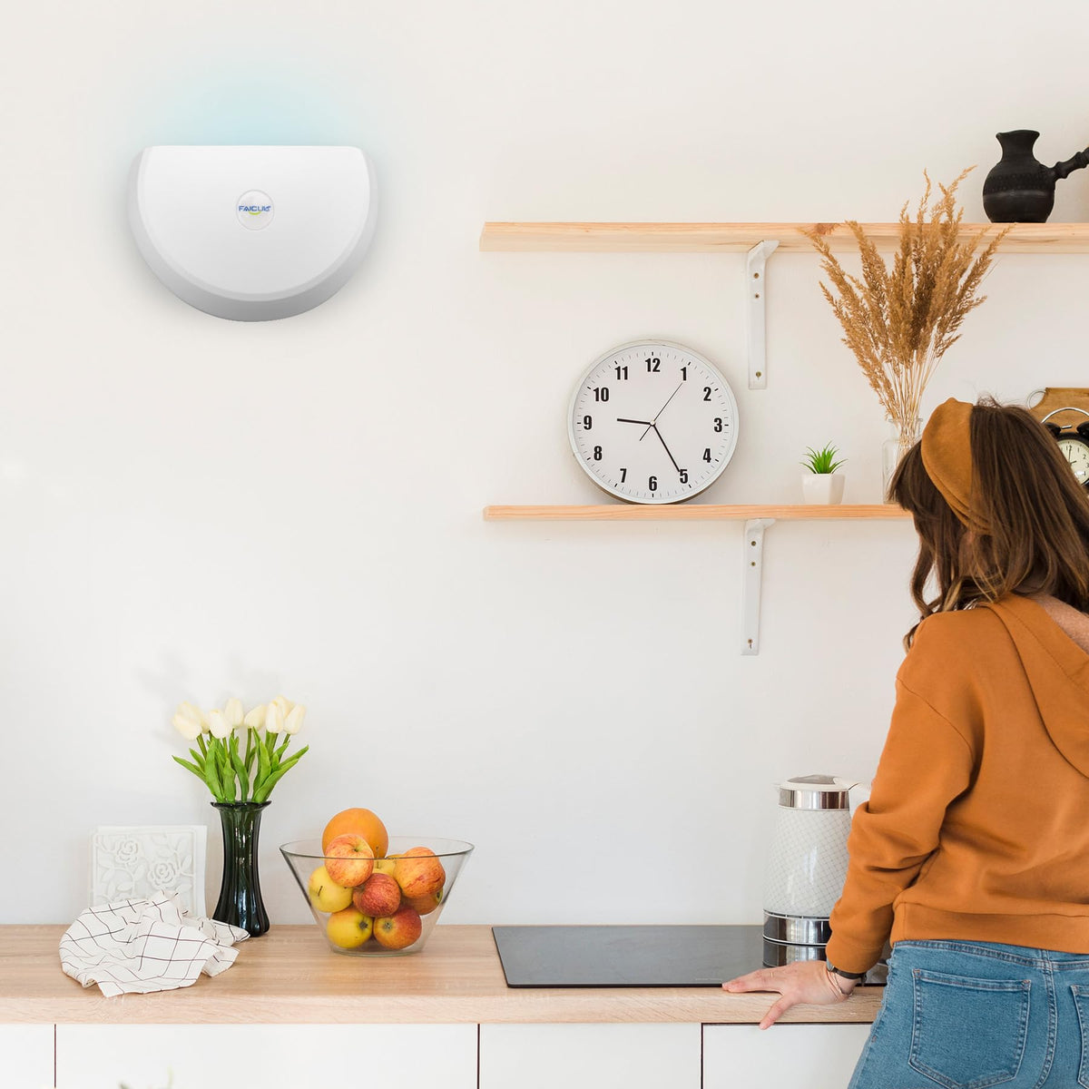 Faicuk WS108 installed in a kitchen for discreet pest control.
