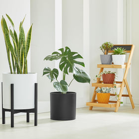 FaithLand 10in modern cylinder planter matte white finish complements many interiors.