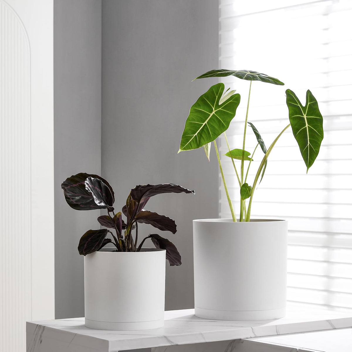 FaithLand 10in modern cylinder planter thick-walled PP for durability in all seasons.