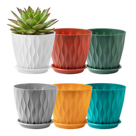 FaithLand 6-pack pots with saucers create cohesive indoor herb gardens.