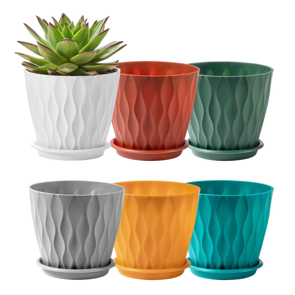 FaithLand 6-pack pots with saucers create cohesive indoor herb gardens.