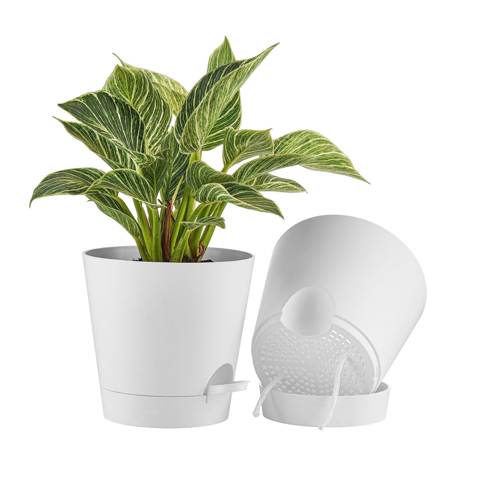 FaithLand 8-inch self-watering planter with a deep tray for extended hydration.