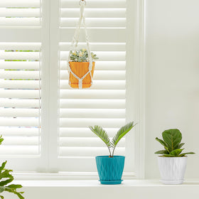 FaithLand indoor-outdoor 6-inch pots suitable for shelves or patios.