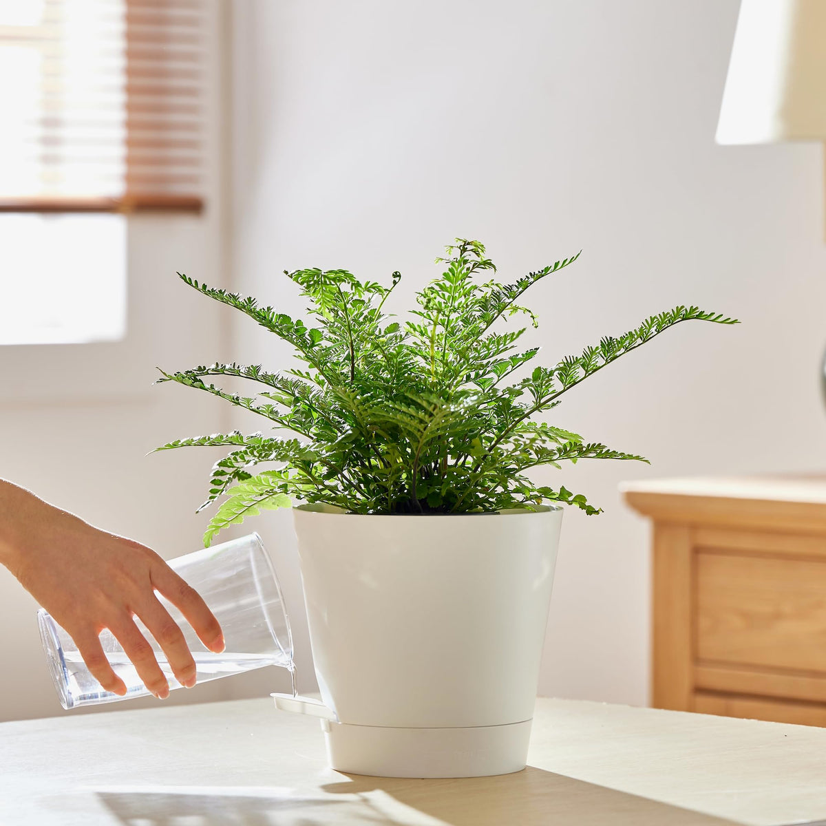 FaithLand indoor-outdoor planter suitable for versatile placements in homes and offices.