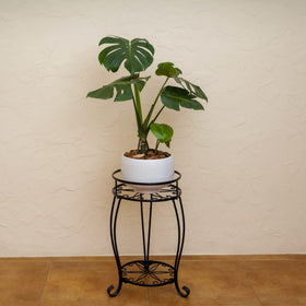 FaithLand plant stand indoor-outdoor use blends with decor anywhere.