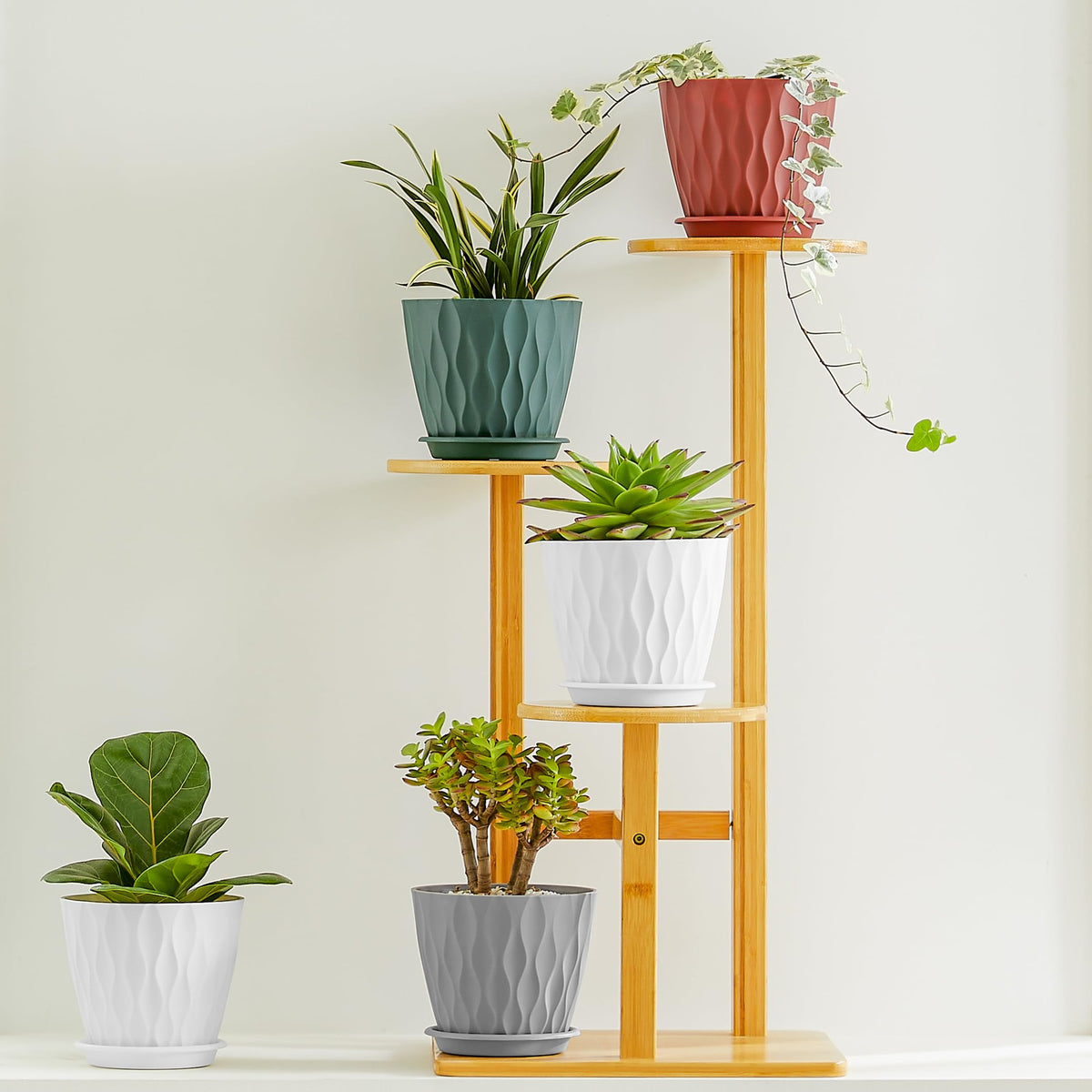 FaithLand removable saucers protect surfaces while watering.