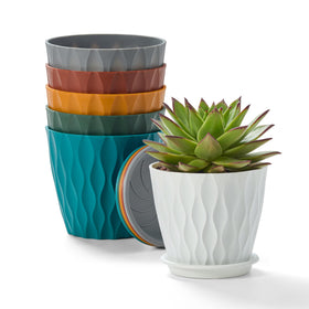 FaithLand succulent and herb display with a modern pot set.