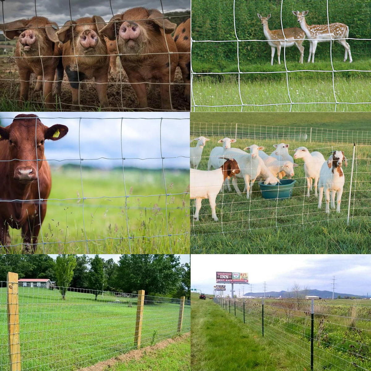 Falanava field fence spanning wide yard and field use.