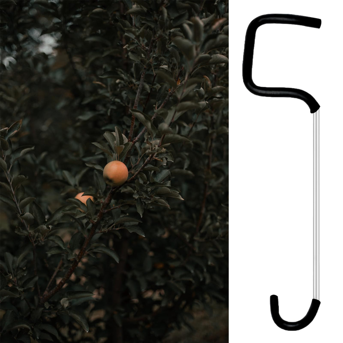 Fallingstar easy install design lets you attach spreaders between branches without tools