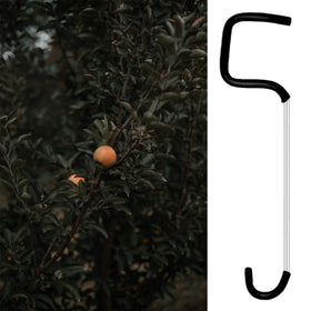 Fallingstar easy install design lets you attach spreaders between branches without tools