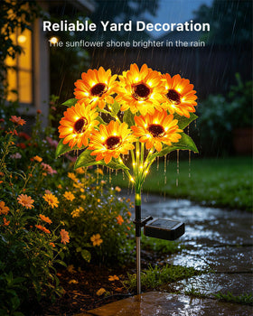 Patio-friendly decor suitable for walkways, borders, and beds.