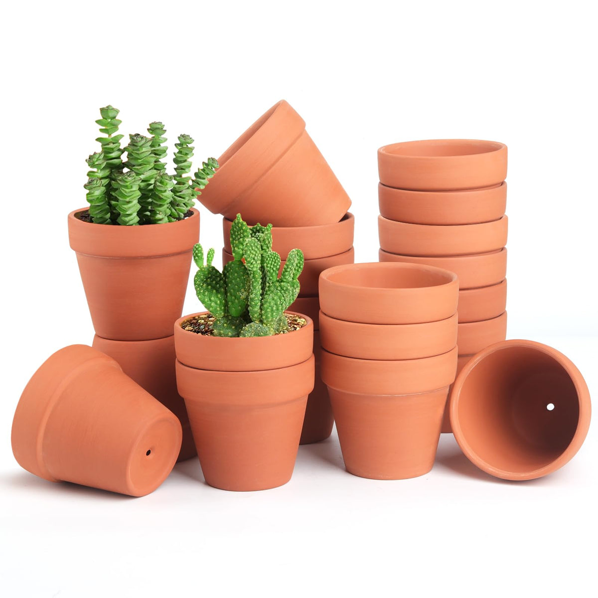 Family 20-pack terra cotta pot front view, ideal for small succulents and herbs.