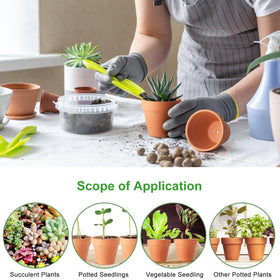 Family indoor gardening idea with small terracotta planters.