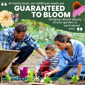 Family Sown 2026 planting guide helps planners start seeds confidently.