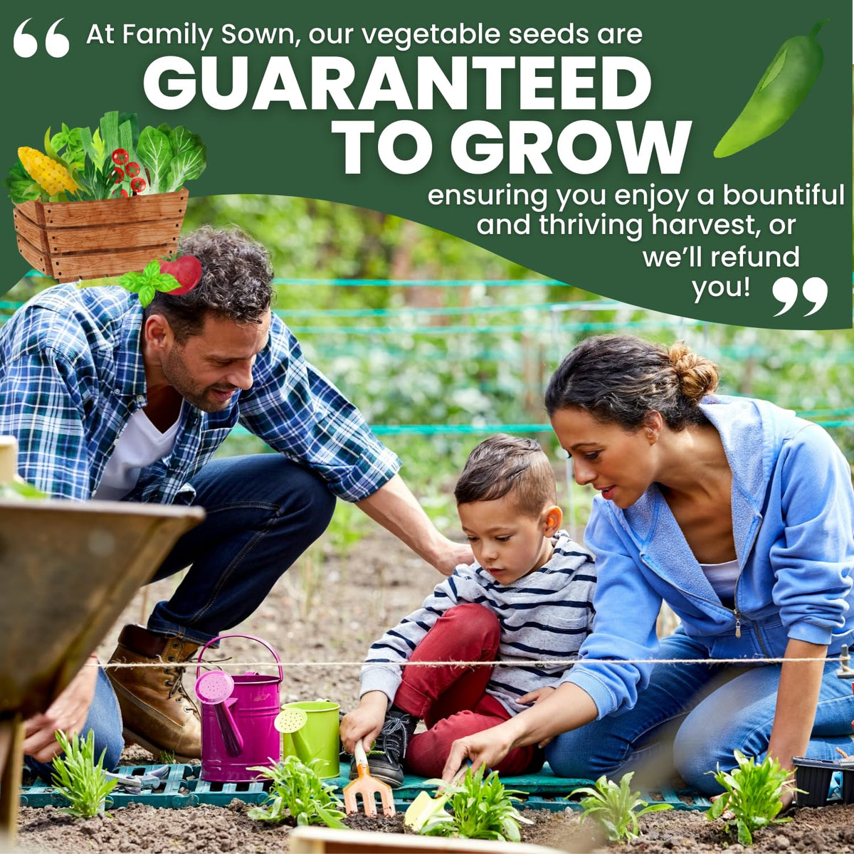 Family Sown 2026 season freshness packaging illustrating peak viability