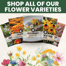 Family Sown 2026 season packaging preserves freshness for peak flavor.