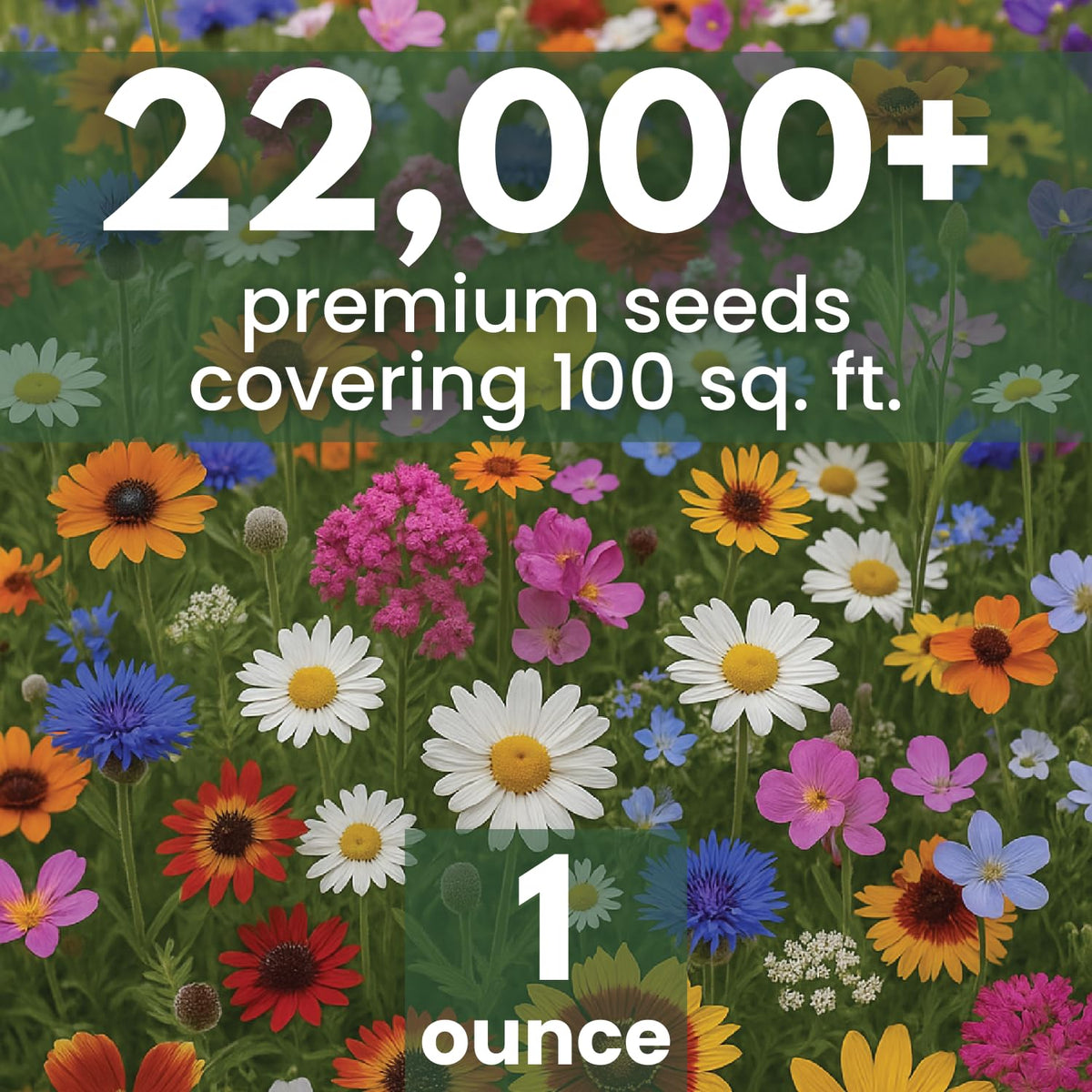 Close-up of 22,000 seeds showing abundant planting potential.