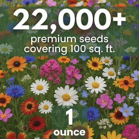 Close-up of 22,000 seeds showing abundant planting potential.
