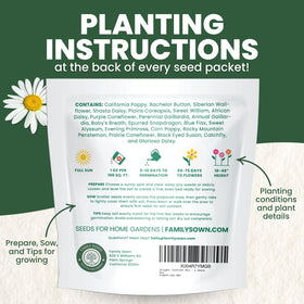 Arid garden setup demonstrates heat-ready flowering options for dry climate.