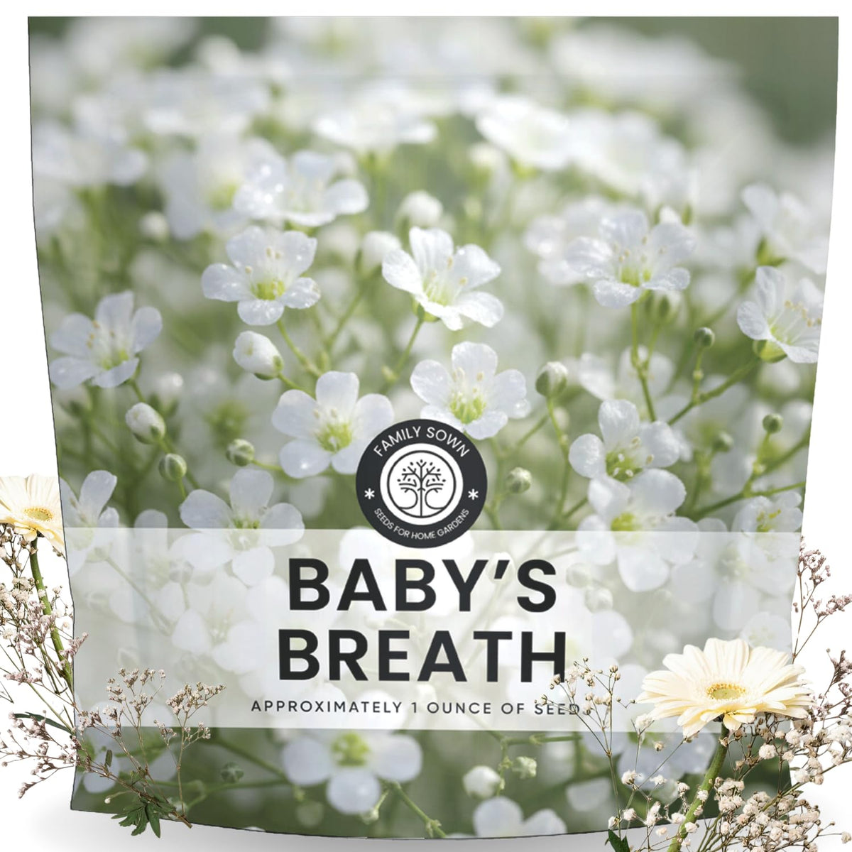 Family Sown Baby’s Breath seeds 22k pack for broad sowing and airy white blooms