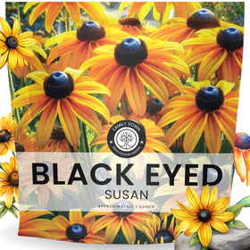 Family Sown Black-Eyed Susan seed packet front with easy planting tips.