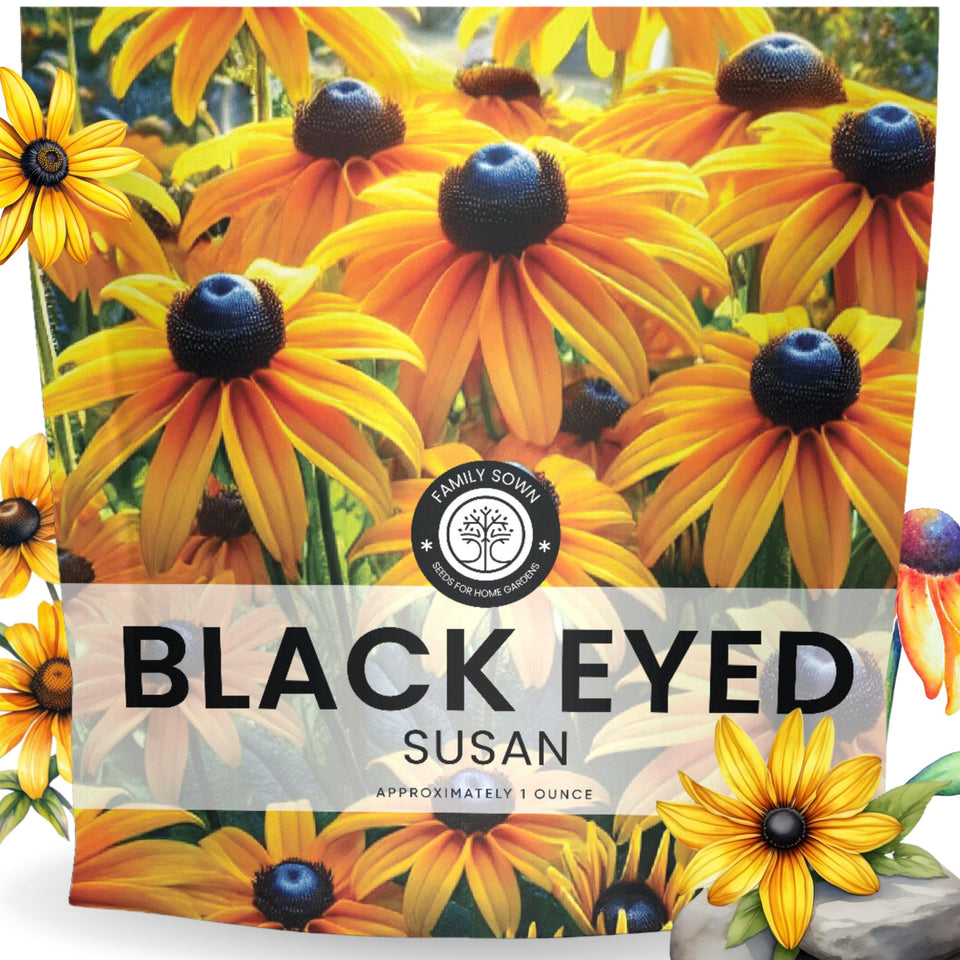Family Sown Black-Eyed Susan seed packet front with easy planting tips.