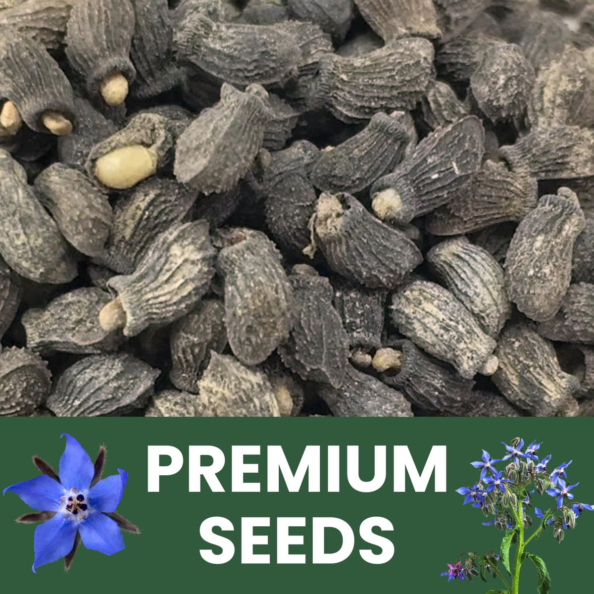 Family Sown borage 1-ounce freshness pouch protects seeds during storage