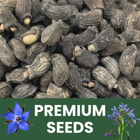 Family Sown borage 1-ounce freshness pouch protects seeds during storage
