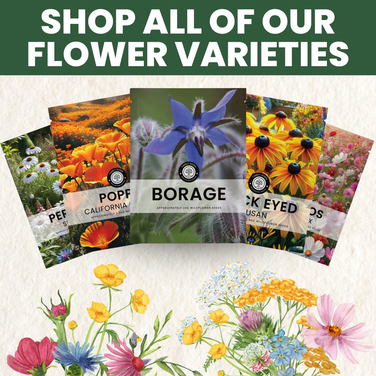 Pollinator-friendly blooms by Family Sown attract bees