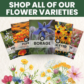 Pollinator-friendly blooms by Family Sown attract bees