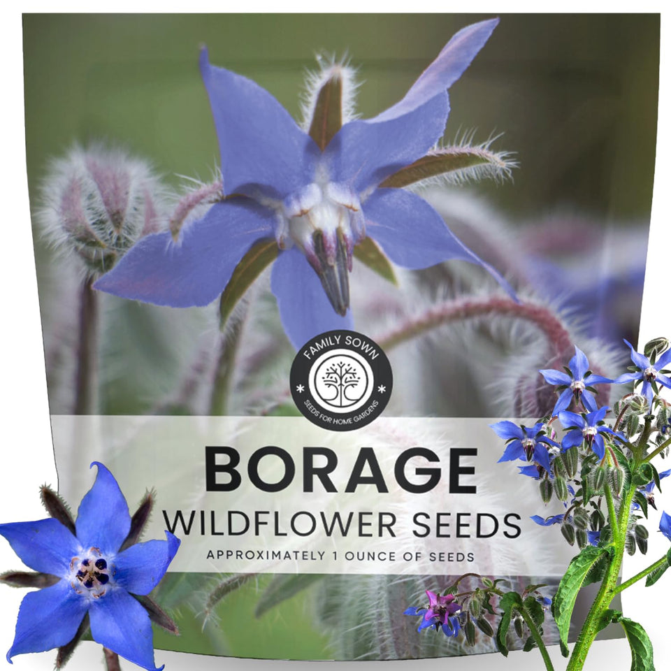 Family Sown borage seeds in a 1,000-seed pouch for quick germination
