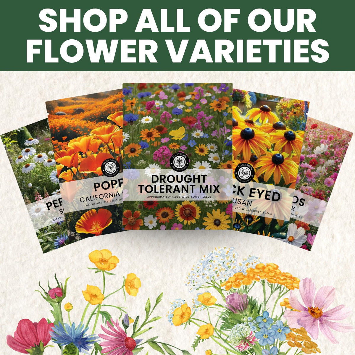 California poppy, Shasta daisy, and Black-eyed Susan among included varieties.