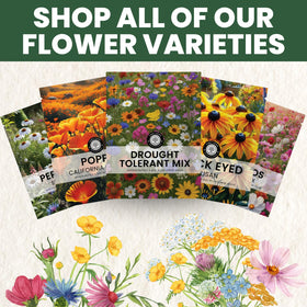 California poppy, Shasta daisy, and Black-eyed Susan among included varieties.