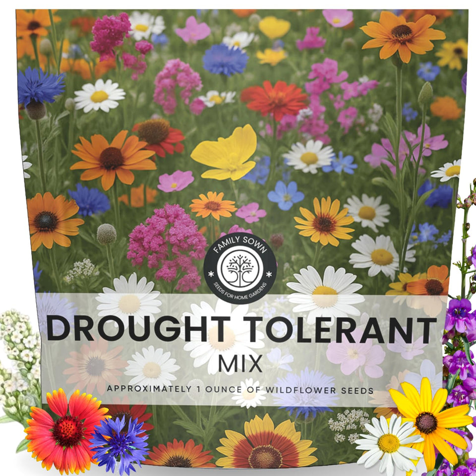 Family Sown drought-tolerant mix packaging ready for low-water landscapes.