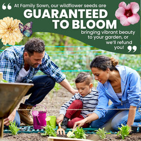 FAMILY SOWN easy growth for beginners makes shade gardening approachable.