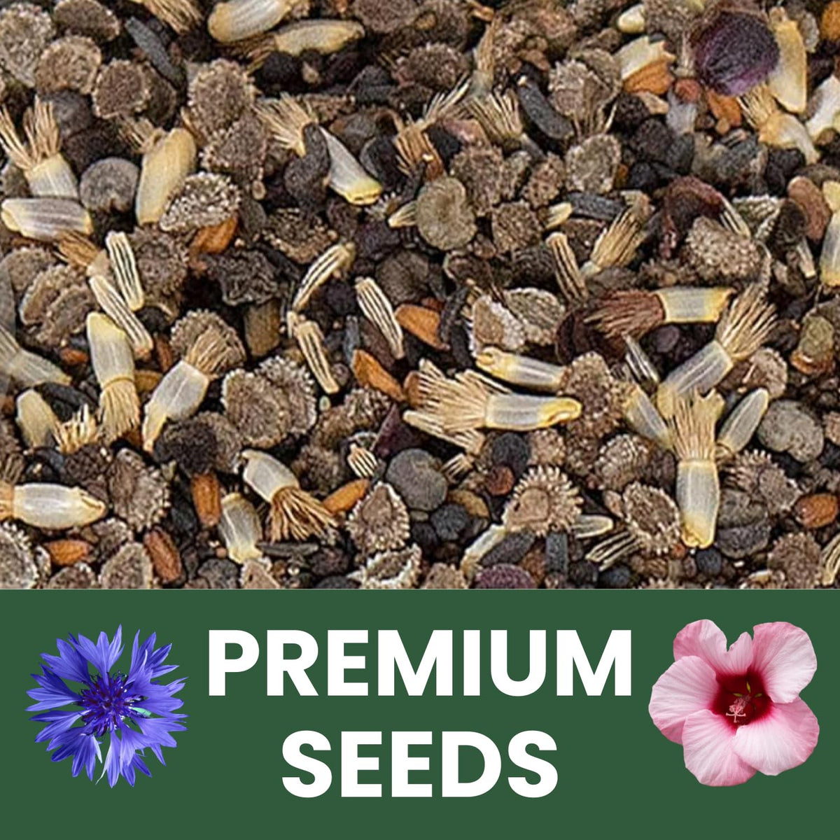 FAMILY SOWN freshness-lock pouch preserves seed quality for planting success.