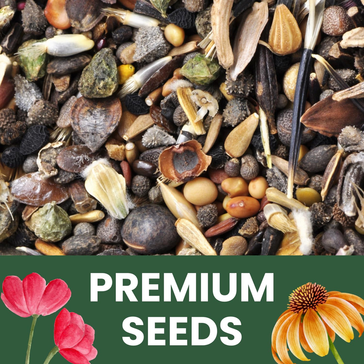 Family Sown gift packaging seeds ready for gifting.
