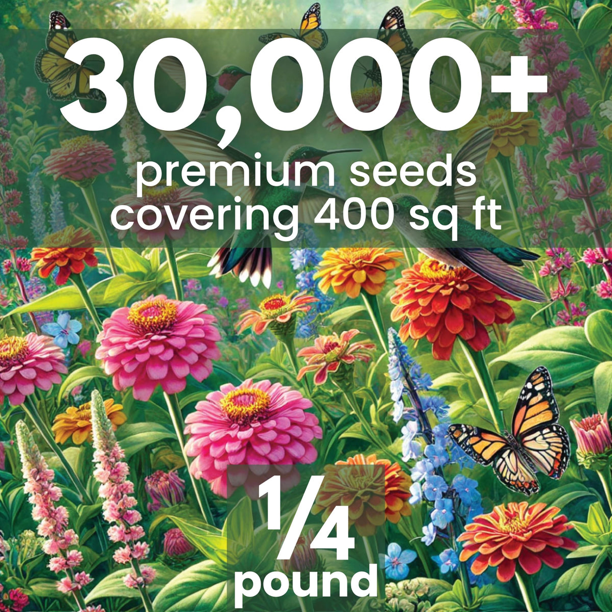 Family Sown seeds close-up ready for germination