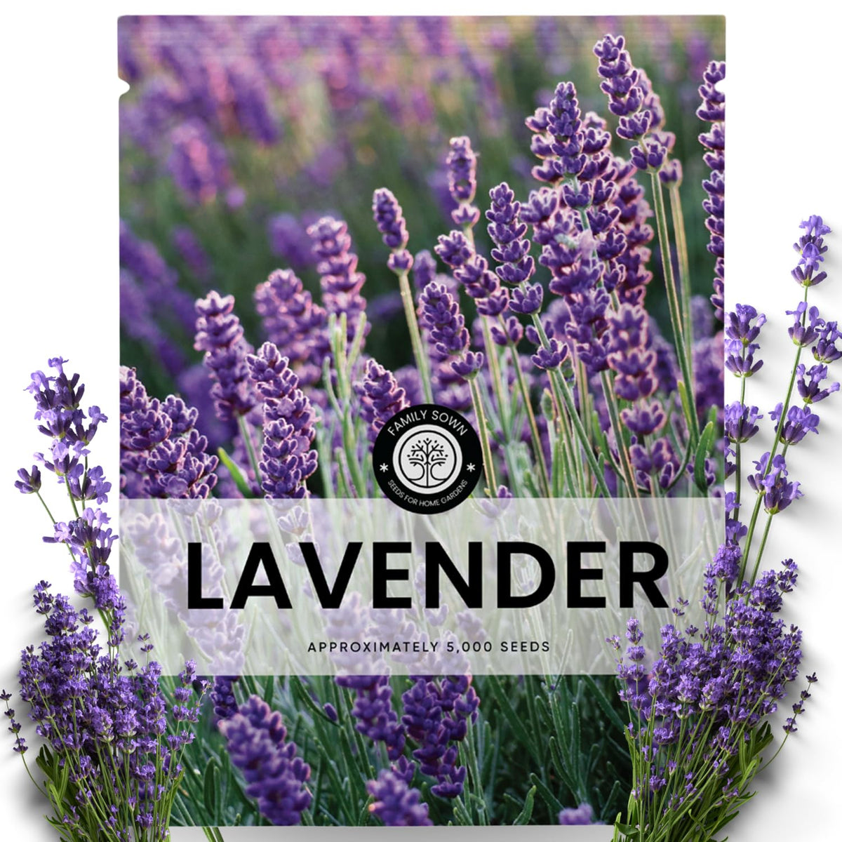 Family Sown lavender seeds 5000 pack ready for garden planting.