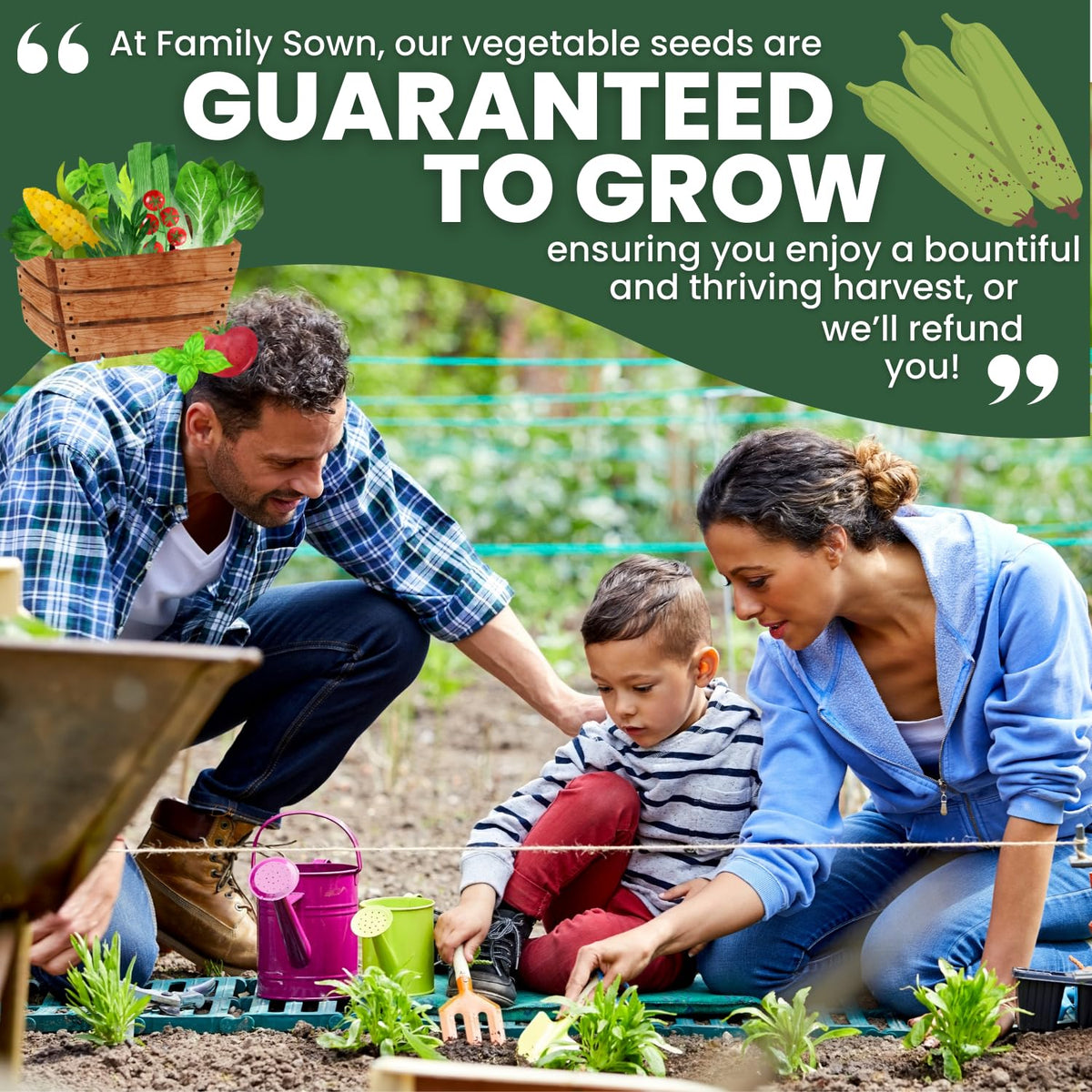 Family Sown luffa gourd seed packet with simple planting instructions