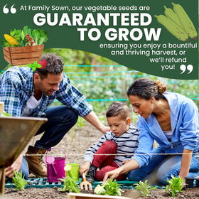 Family Sown luffa gourd seed packet with simple planting instructions