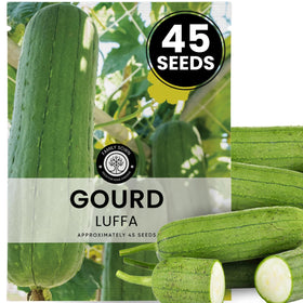 Family Sown luffa gourd seeds in 5g pouch showcase fresh viability for 2026 harvest